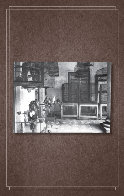 Library of Souls _67.jpg