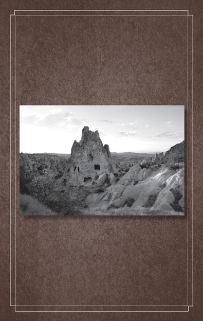 Library of Souls _70.jpg