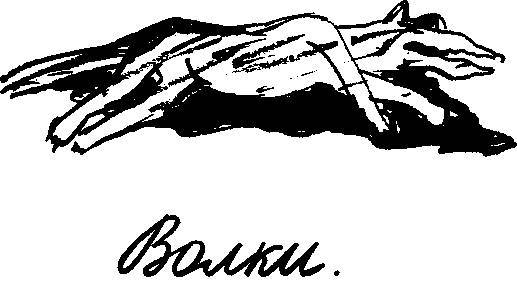 Трагический зверинец _2.jpg