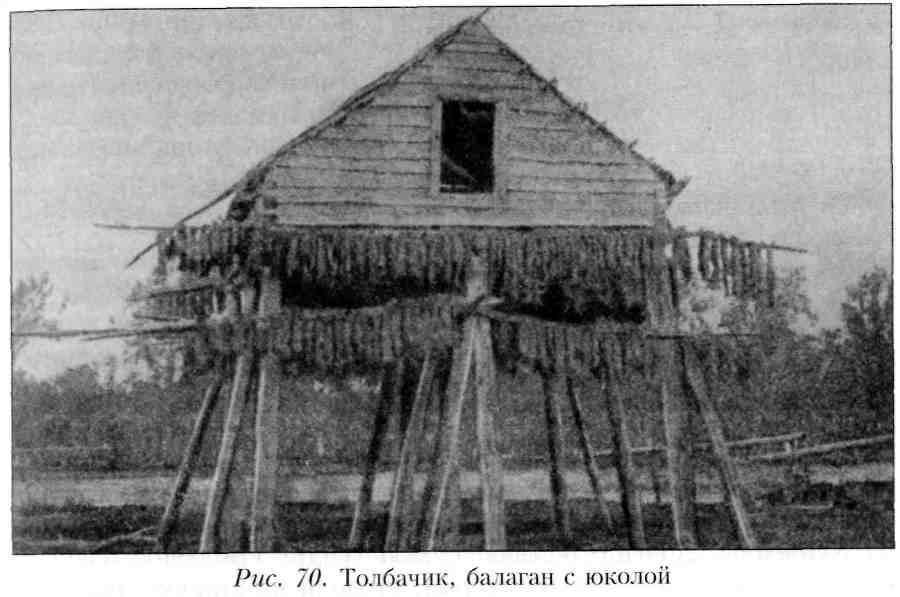 Путешествие по Камчатке в 1908--1909 гг. _71.jpg