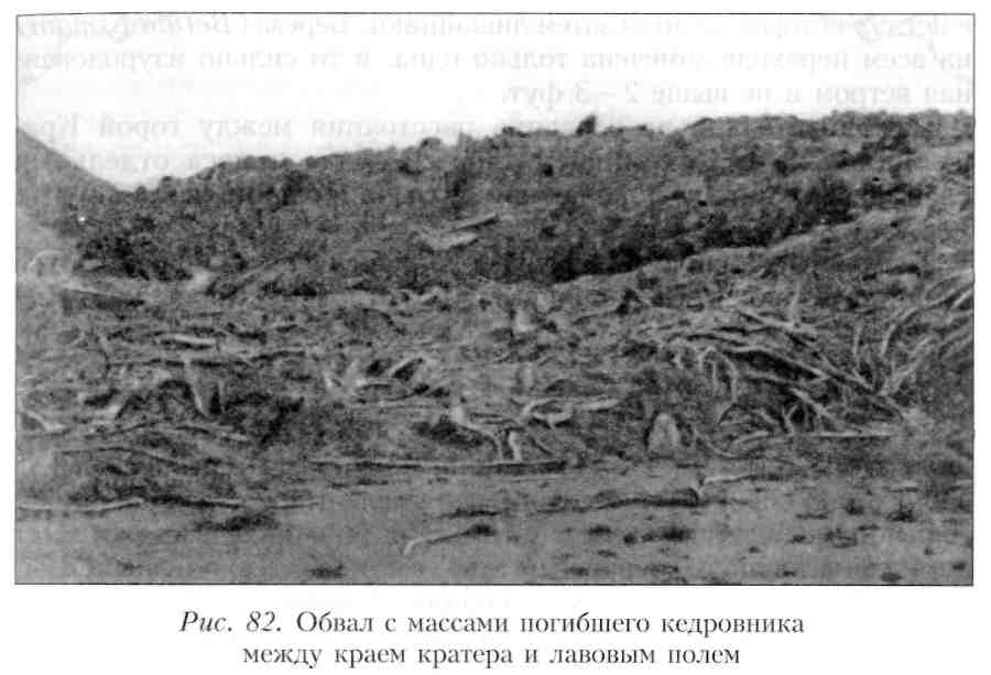 Путешествие по Камчатке в 1908--1909 гг. _83.jpg