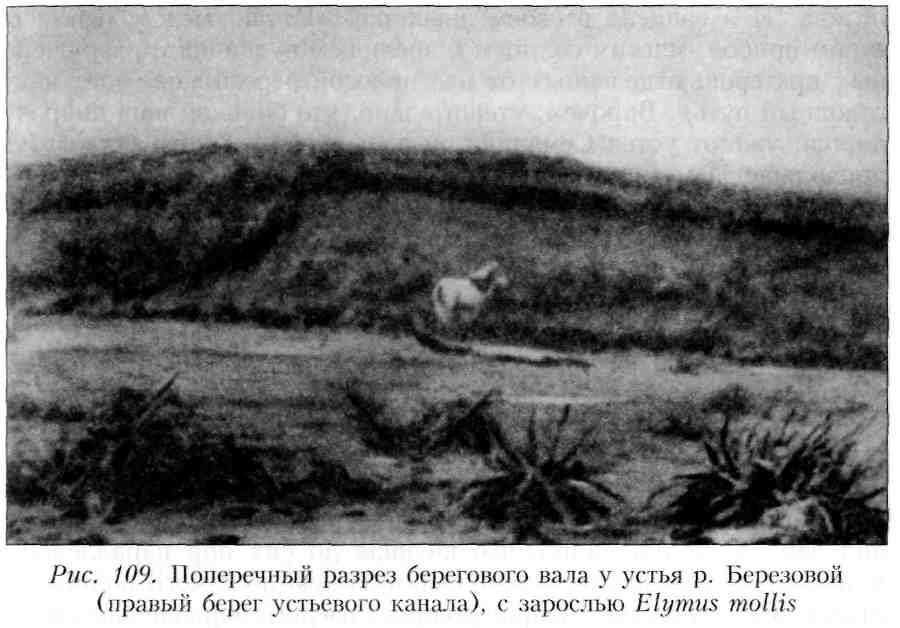 Путешествие по Камчатке в 1908--1909 гг. _110.jpg
