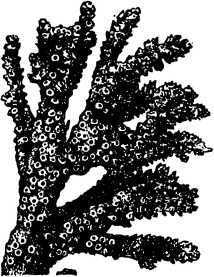 i_021.jpg