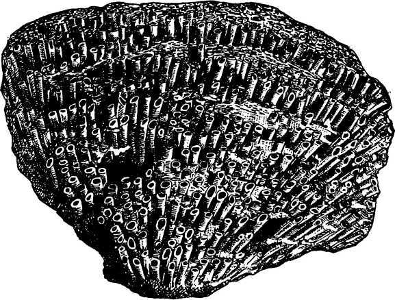i_022.jpg