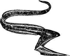 i_024.jpg