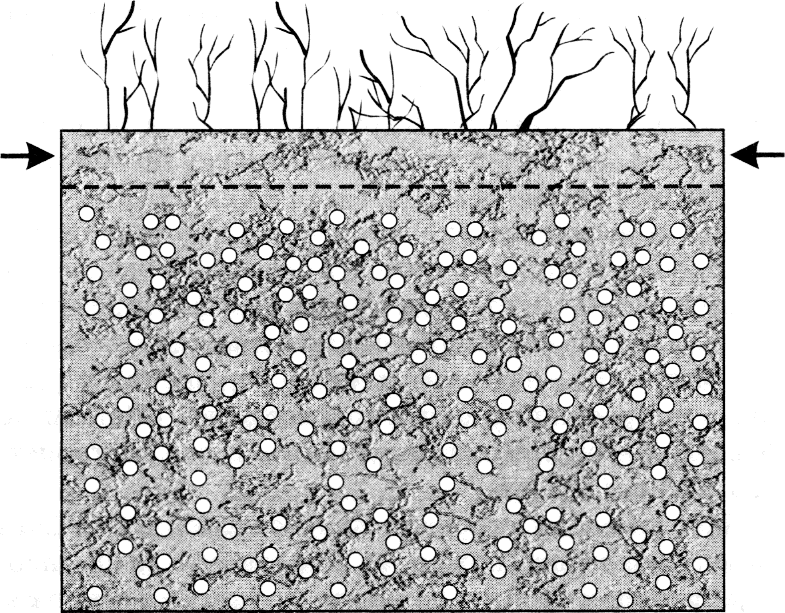 Огород для умных, или как не навредить заботой img_8.png