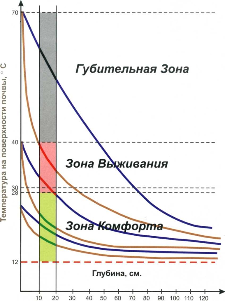 Умный огород круглый год img_2.jpeg