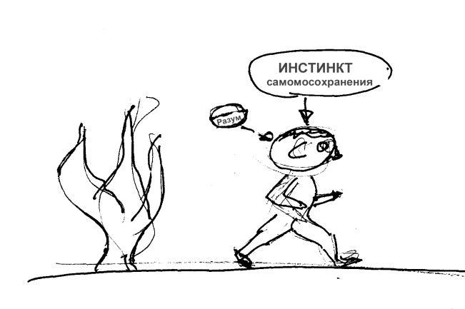 Проект «Человечество» успех или неудача? _2.jpg