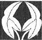 The Dragon Scroll  _3.jpg