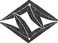 Black Arrow  _7.jpg