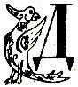 i_011.jpg
