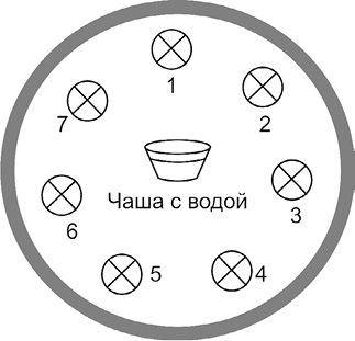 7 минут в день, чтобы желание сбылось i_038.jpg