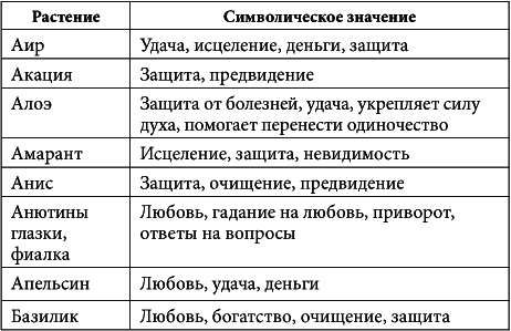 7 минут в день, чтобы желание сбылось i_044.png