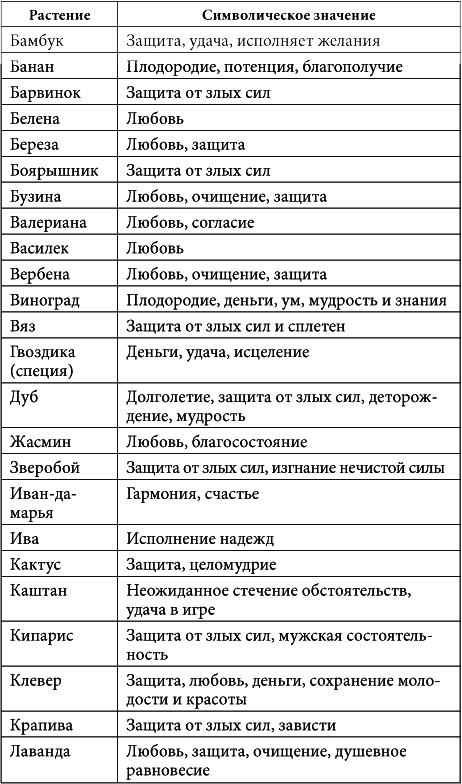 7 минут в день, чтобы желание сбылось i_045.png