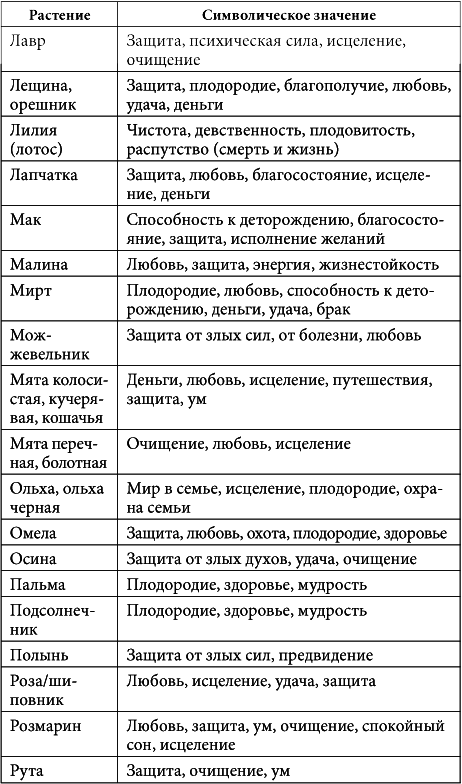 7 минут в день, чтобы желание сбылось i_046.png