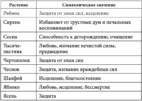 7 минут в день, чтобы желание сбылось i_047.png
