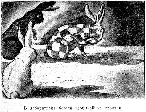 Шестое чувство (илл. М. Гетманского) pic_13.jpg