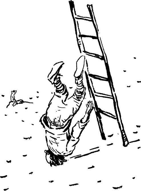 i_004.jpg