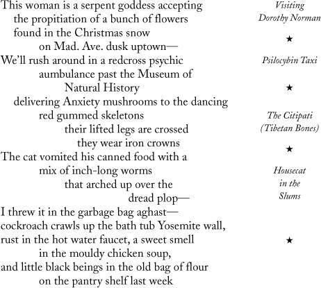 Collected Poems 1947-1997  _16.jpg