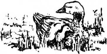 i_002.jpg
