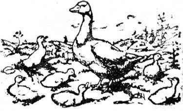 i_003.jpg