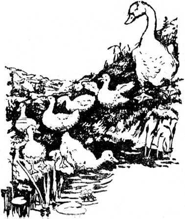 i_004.jpg