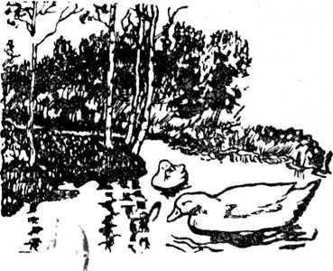i_006.jpg