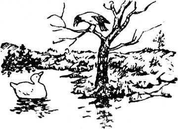 i_007.jpg