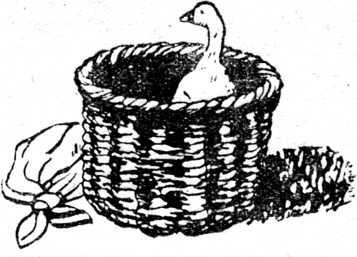 i_010.jpg
