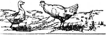 i_011.jpg
