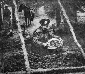 Полное собрание сочинений. Том 15. Чудеса лунной ночи _16.jpg