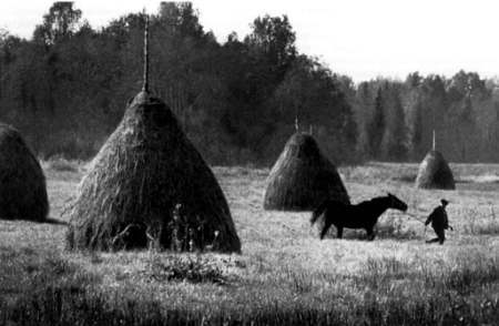 Полное собрание сочинений. Том 15. Чудеса лунной ночи _43.jpg_0