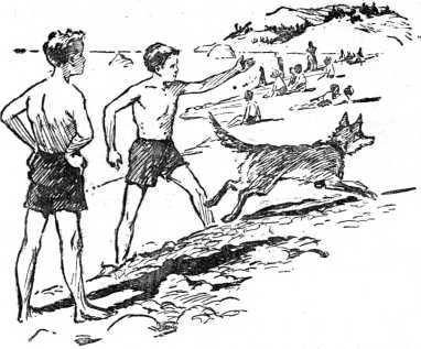 i_010.jpg