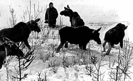 Полное собрание сочинений. Том 16. В час высокой воды _108.jpg