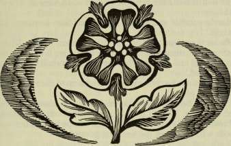 The Star of Lancaster _13.jpg