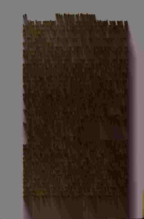 The Prince of Darkness _40.jpg