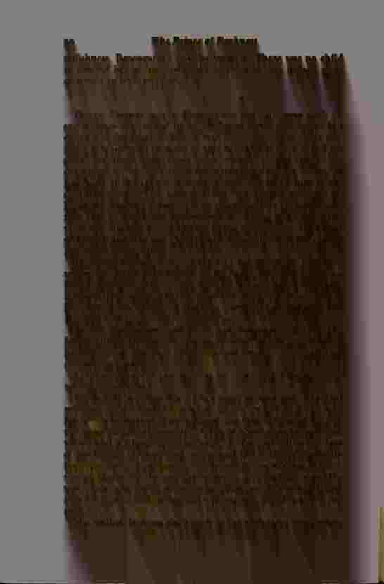 The Prince of Darkness _44.jpg