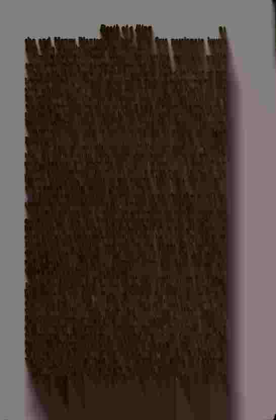 The Prince of Darkness _46.jpg