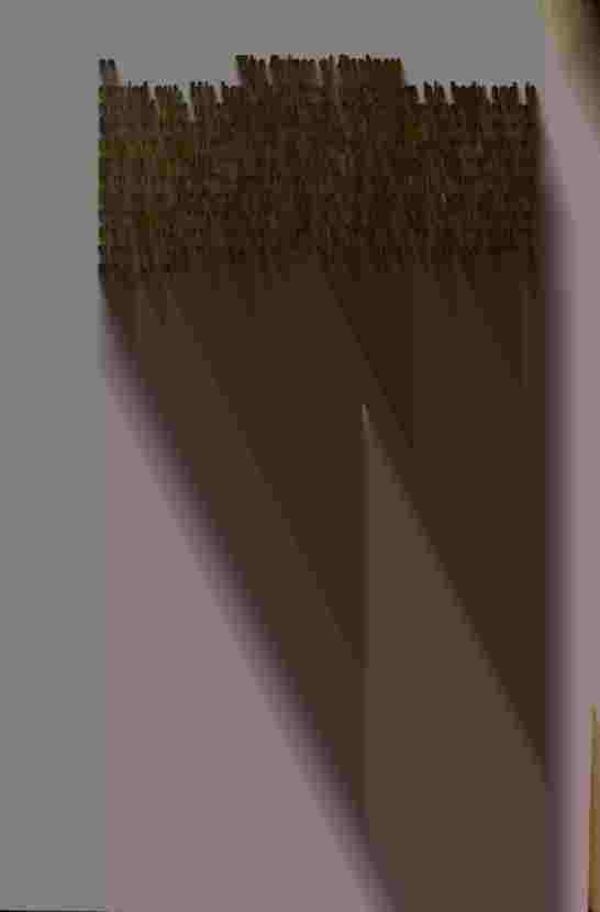 The Prince of Darkness _48.jpg
