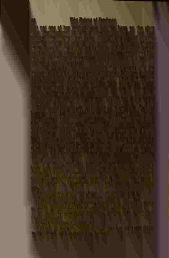 The Prince of Darkness _68.jpg