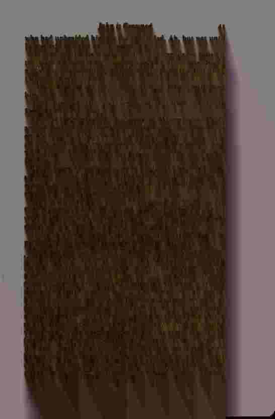 The Prince of Darkness _86.jpg