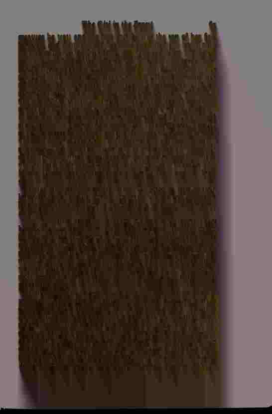 The Prince of Darkness _133.jpg