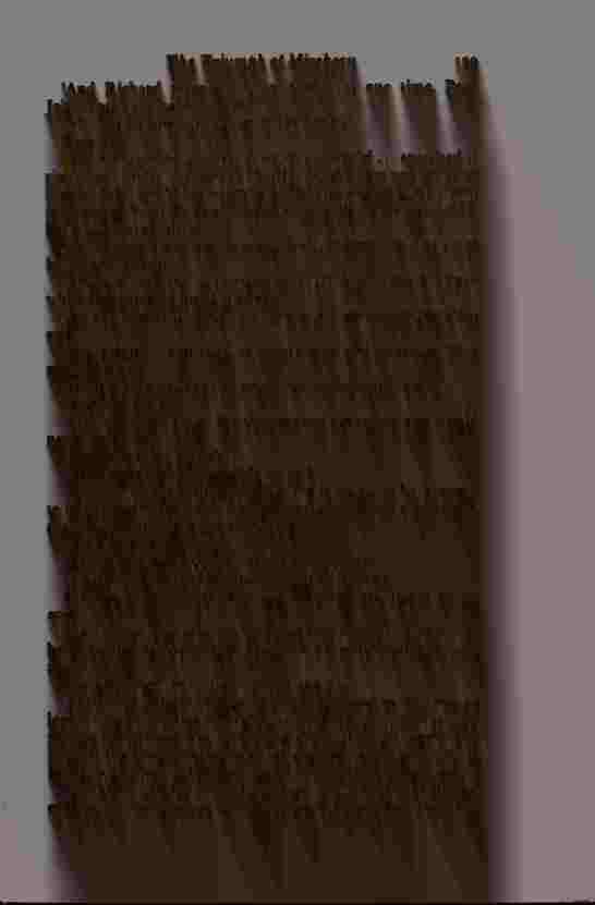 The Prince of Darkness _261.jpg