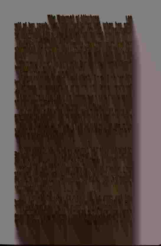 The Prince of Darkness _281.jpg