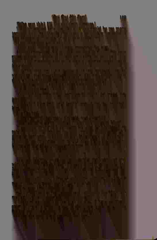 The Prince of Darkness _317.jpg