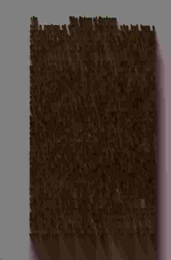 The Prince of Darkness _323.jpg