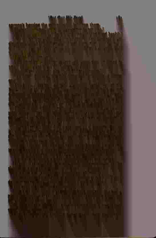 The Prince of Darkness _325.jpg