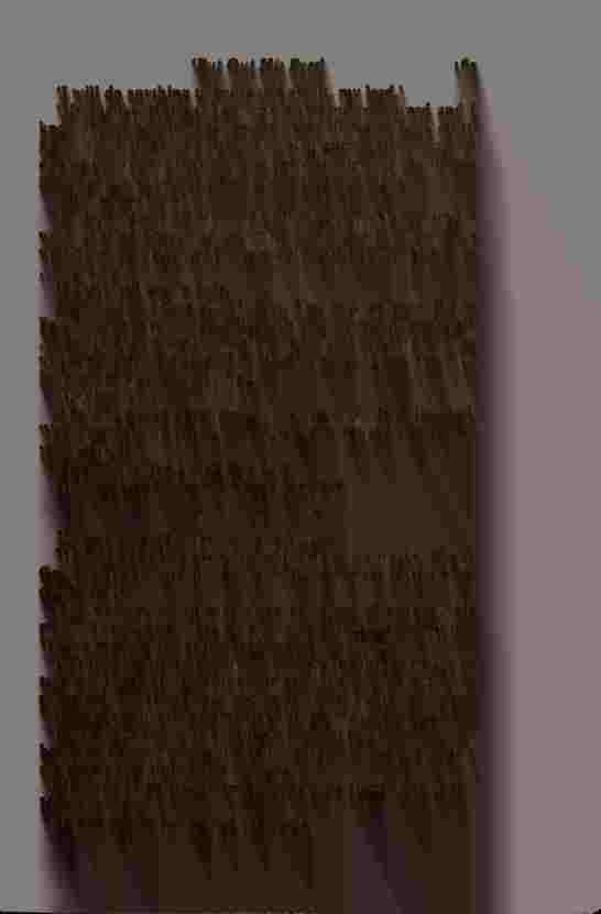 The Prince of Darkness _329.jpg