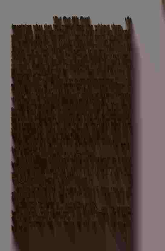 The Prince of Darkness _333.jpg