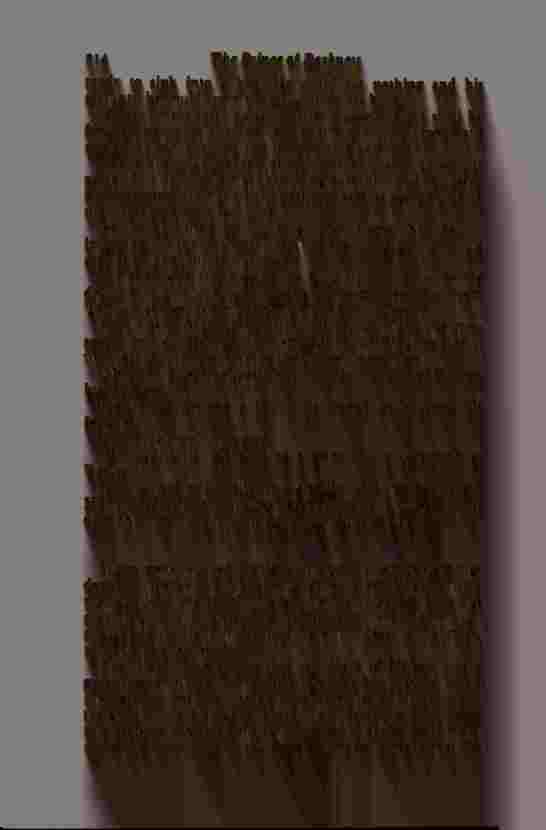 The Prince of Darkness _430.jpg